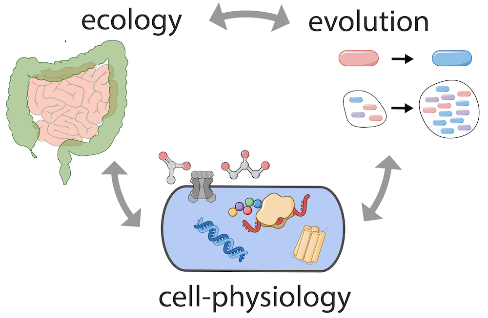 Physiology, ecology, and evolution